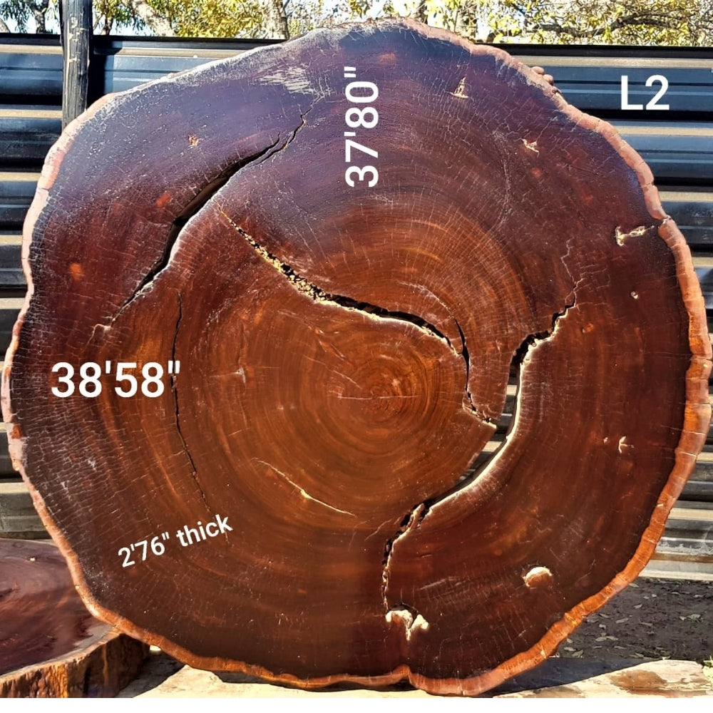 Leadwood Slice (37'80" x 38.58" x 2.76")