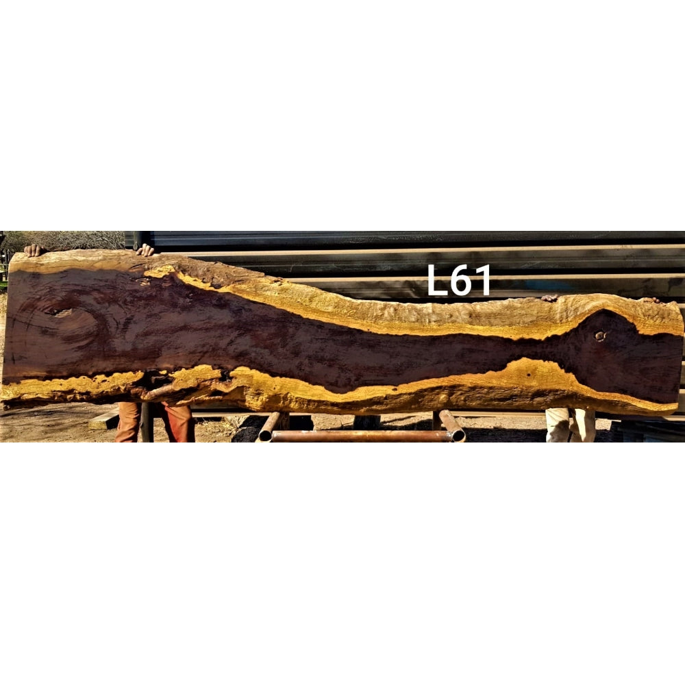 Leadwood Slab (130.71" x 29.53" x 3.15")