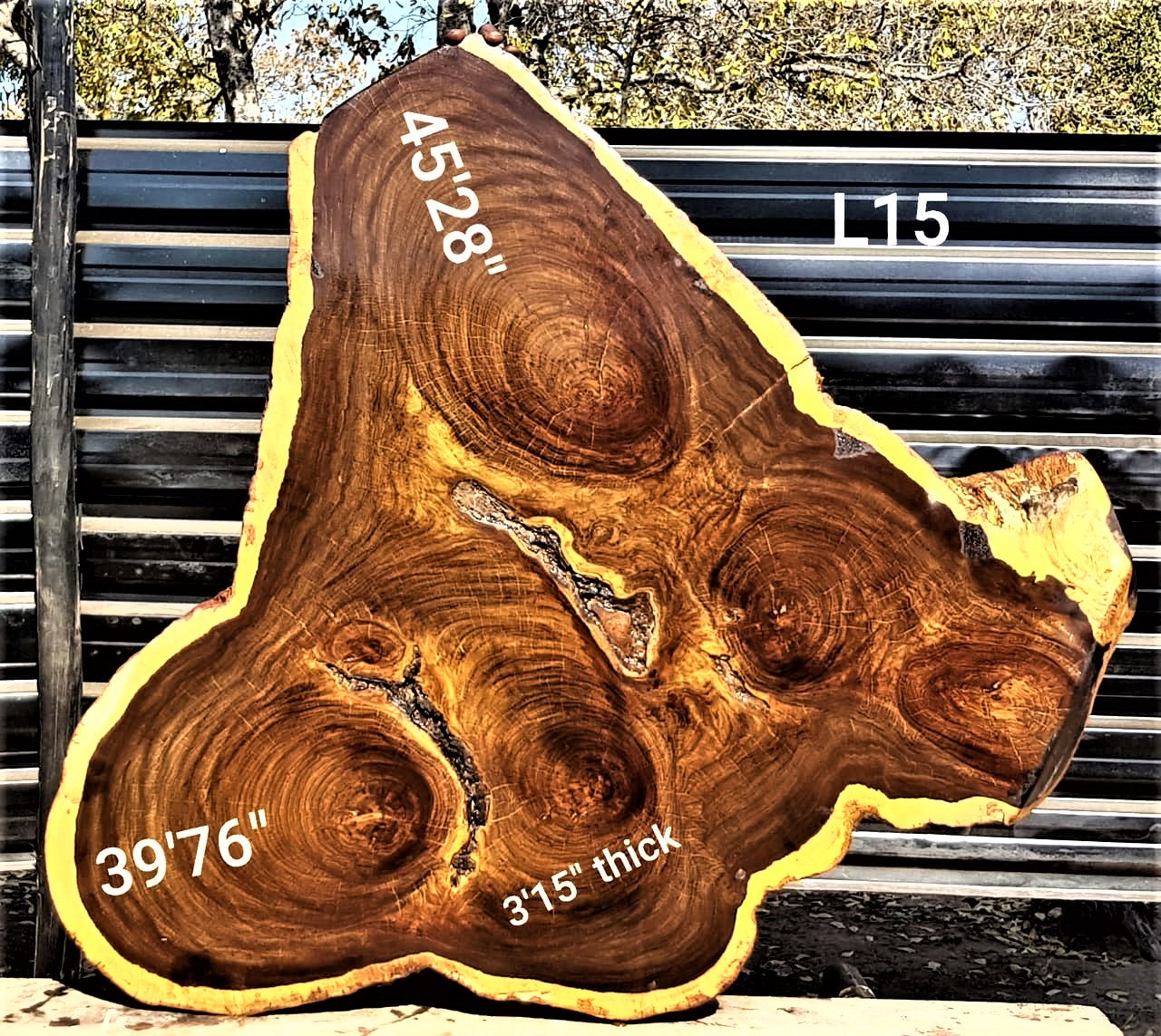 Leadwood Slice (45.28" x 39.76" x 3.15")