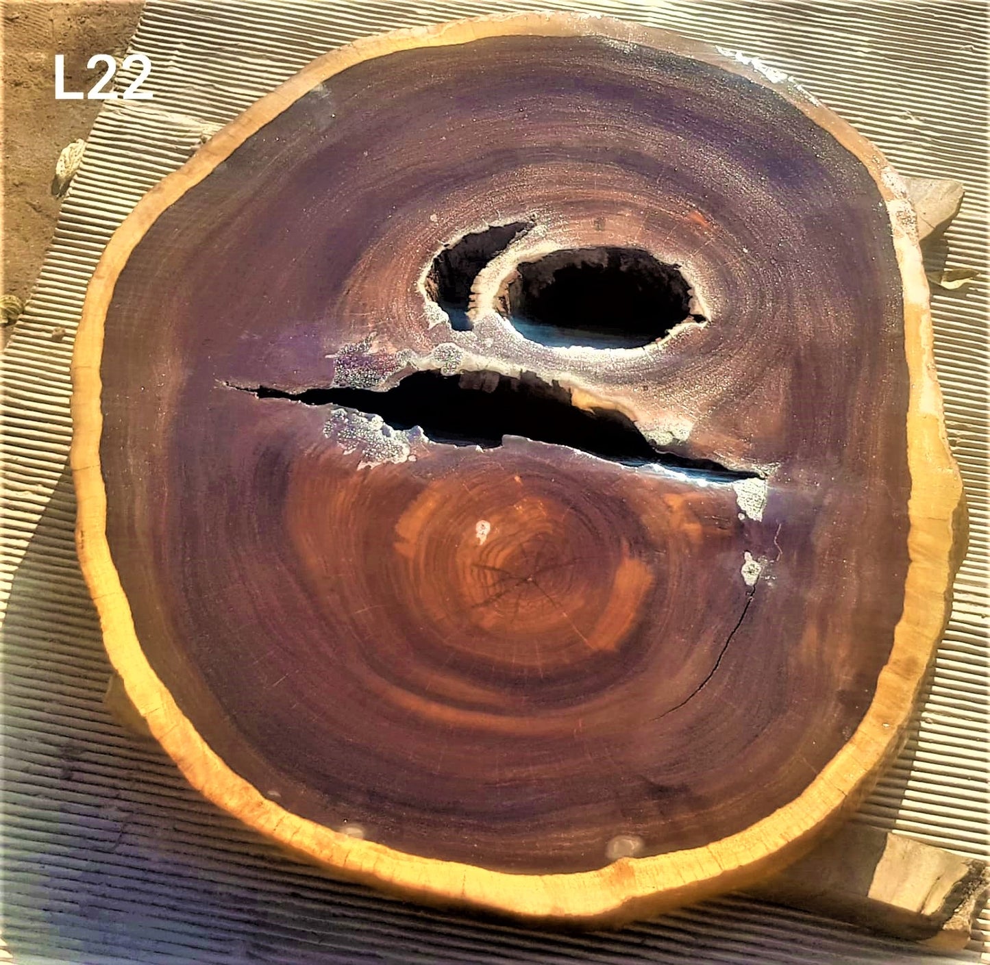 Leadwood Slice (30.31" x 25.20" x 3.15")