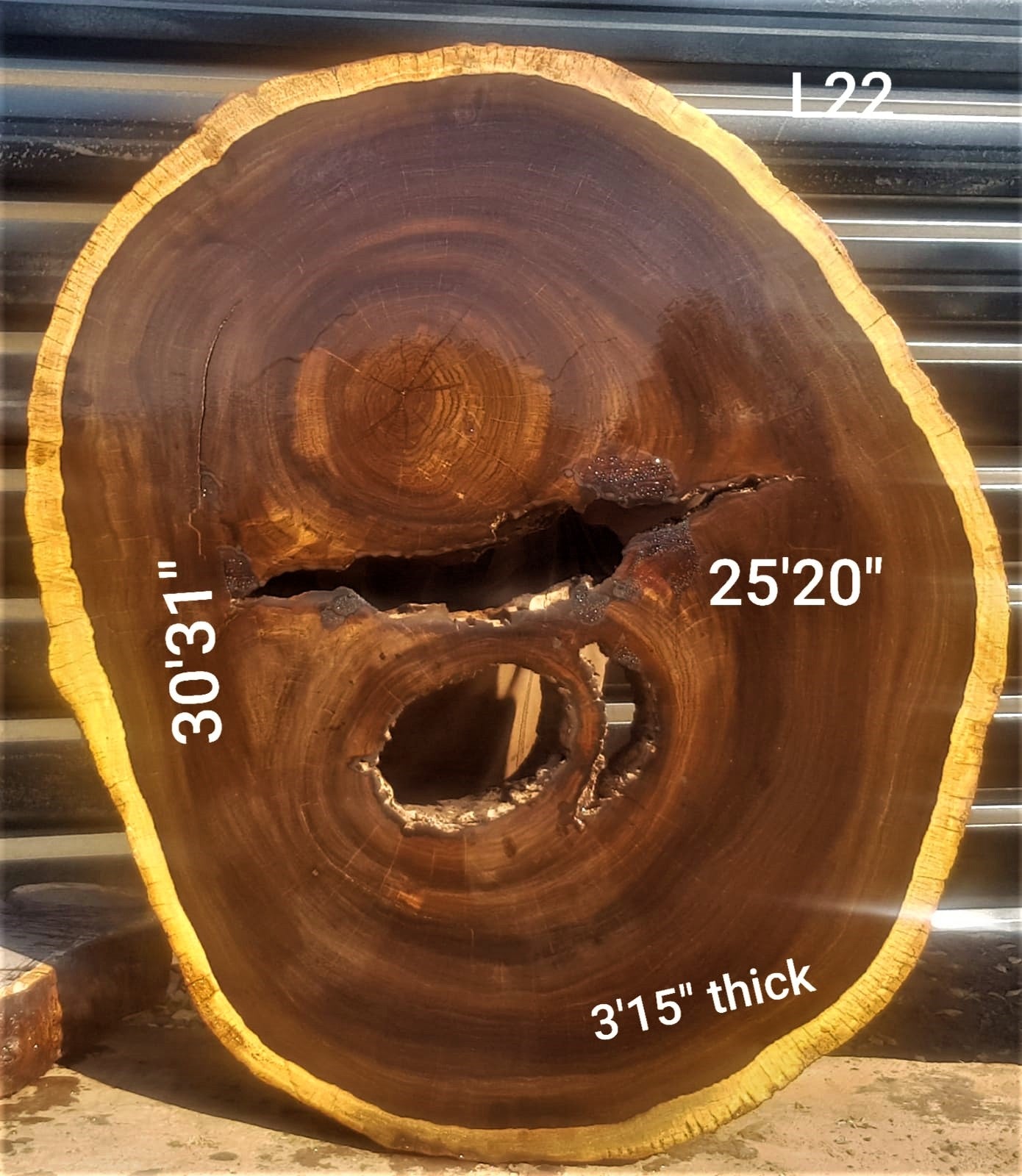 Leadwood Slice (30.31" x 25.20" x 3.15")
