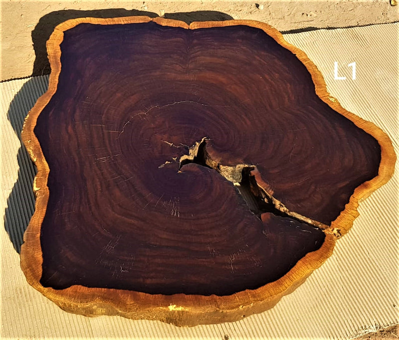 Leadwood Slices / Cookies | Hardekool Hout