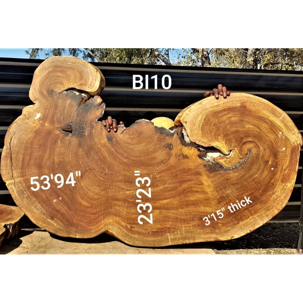 Brown Ivory Slice (53.94" x 23.23" x 3.15")