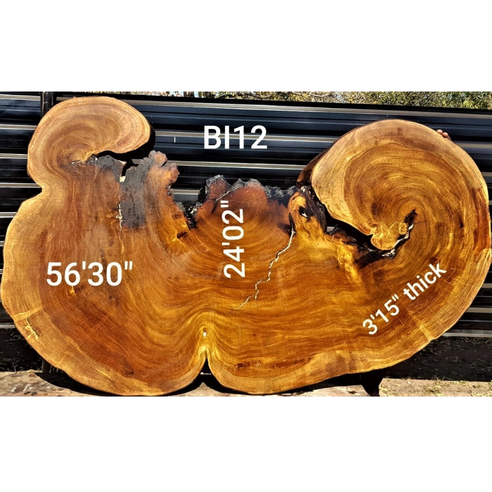 Brown Ivory Slice (56.30" x 24.02" x 3.15")