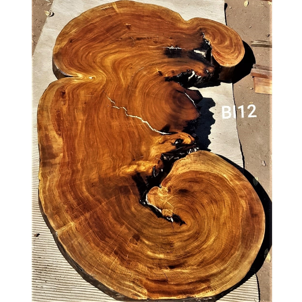 Brown Ivory Slice (56.30" x 24.02" x 3.15")