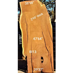 Brown Ivory Slab (111.81" x 47.64" x 2.95")