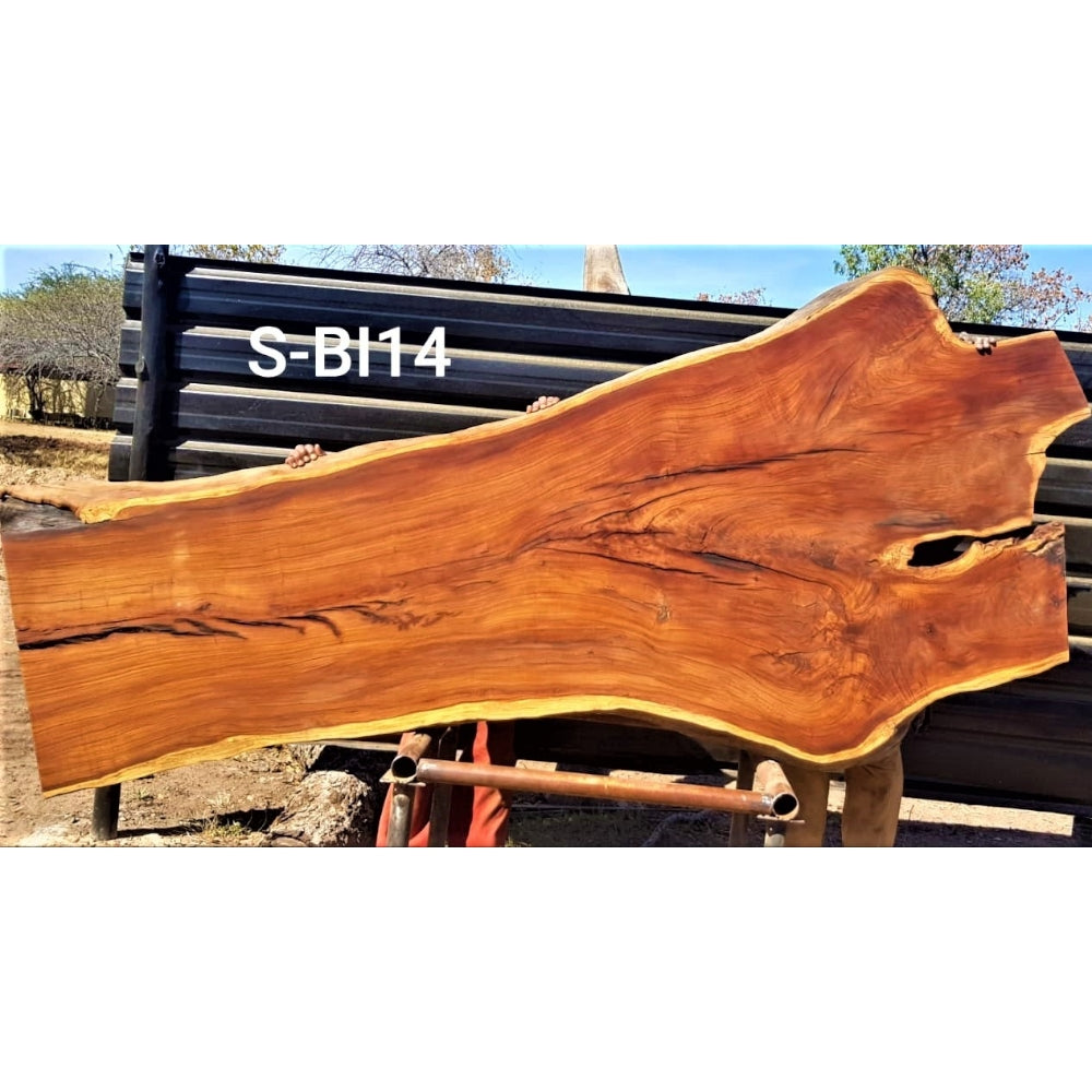Brown Ivory Slab (105.12" x 44.49" x 1.97")