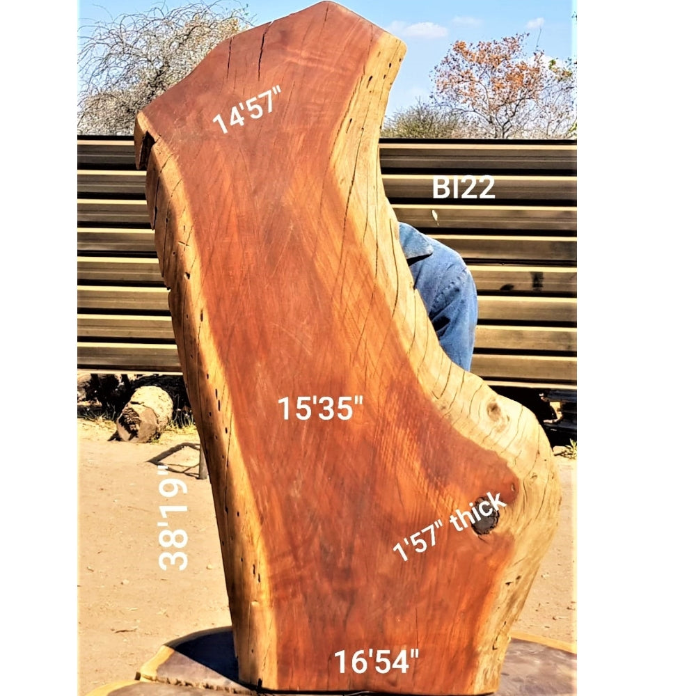 Brown Ivory Slab (38.19" x 16.54" x 1.57")