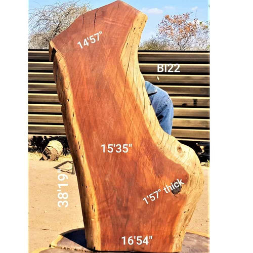 Brown Ivory Slab (38.19" x 16.54" x 1.57")