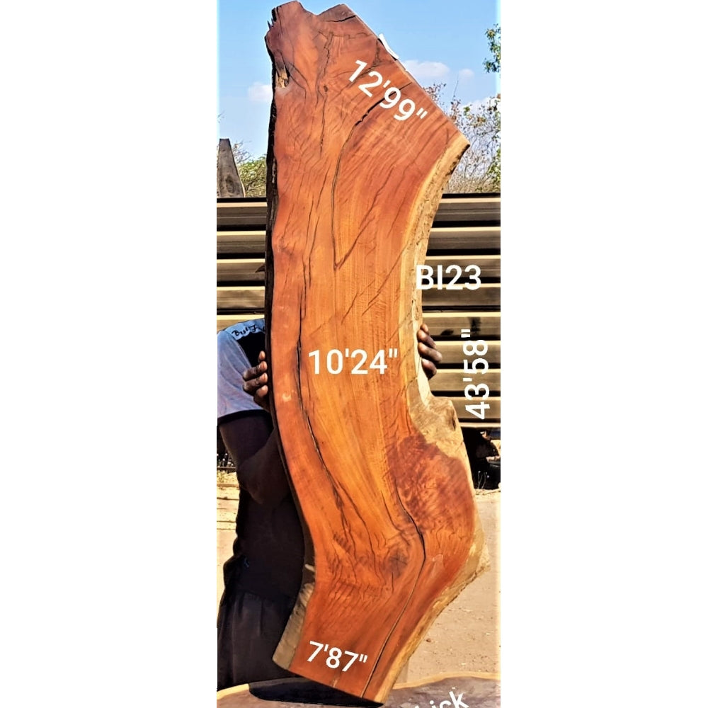Brown Ivory Slab (43.58" x 12.99" x 1.38")