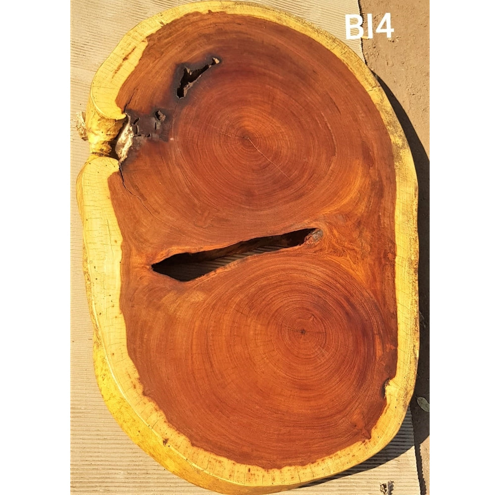 Brown Ivory Slice (45.67" x 30.31" x 3.15")