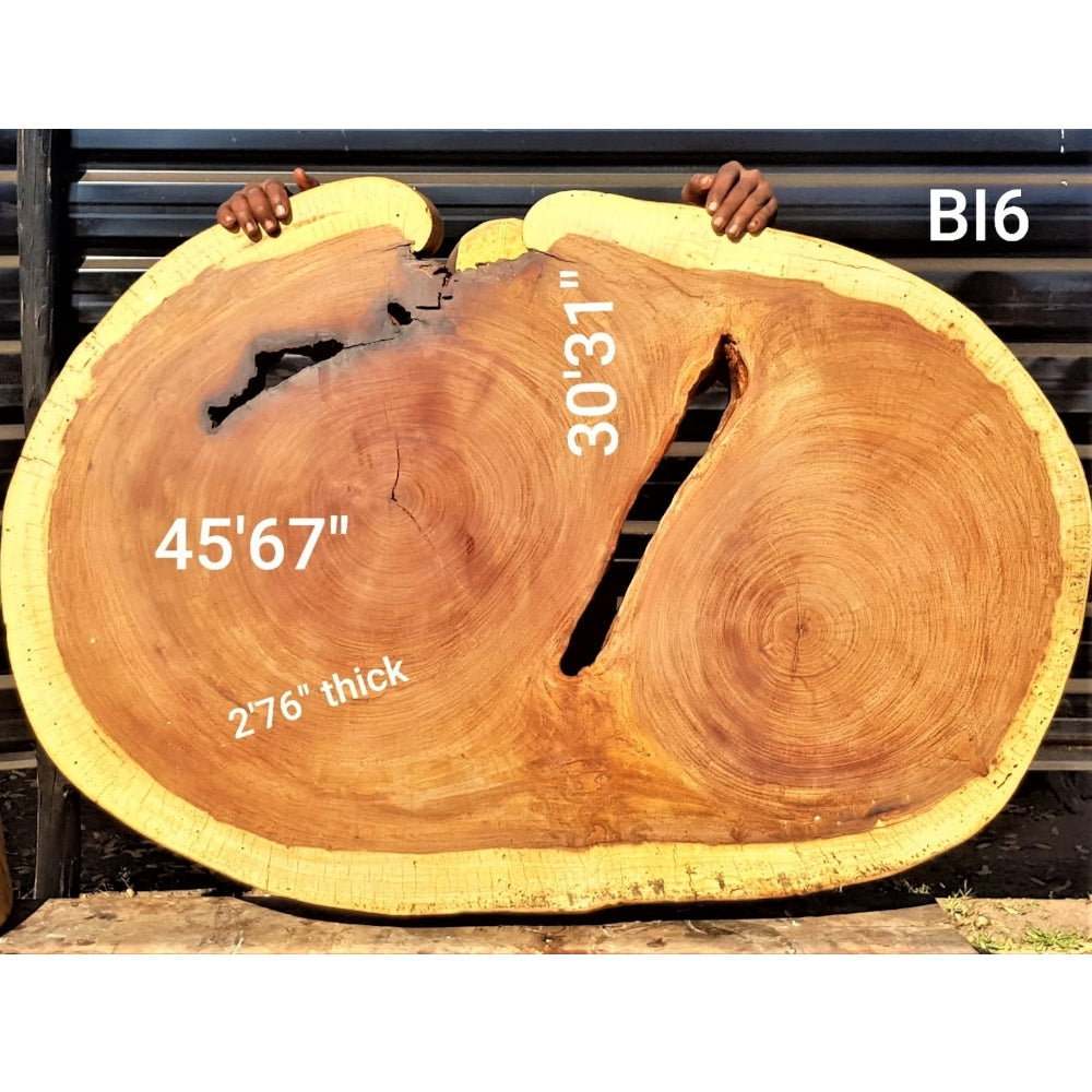 Brown Ivory Slice (45.67" x 30.31" x 2.76")
