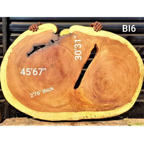 Brown Ivory Slice (45.67" x 30.31" x 2.76")