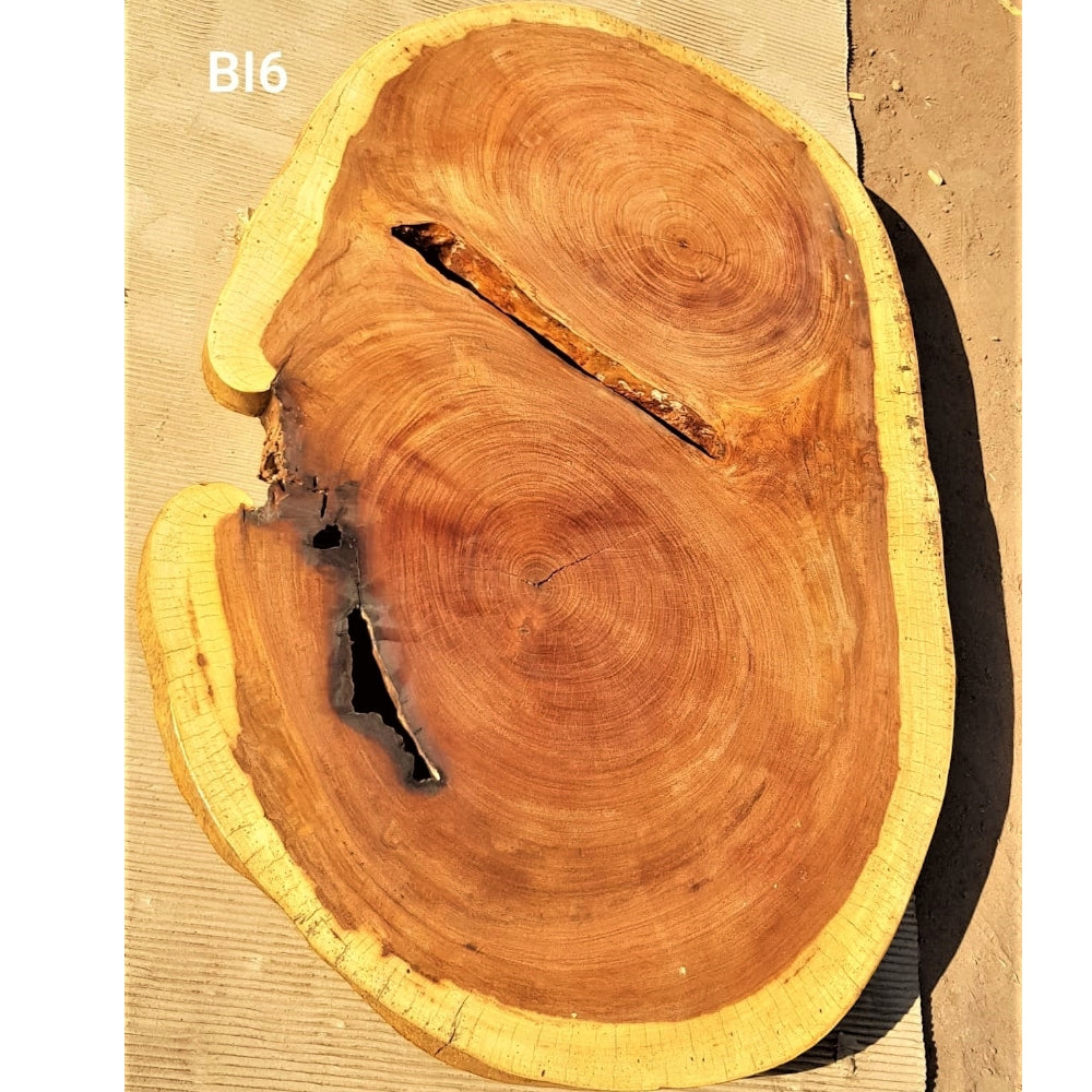 Brown Ivory Slice (45.67" x 30.31" x 2.76")