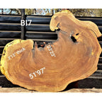 Brown Ivory Slice (51.97" x 23.23" x 3.15")