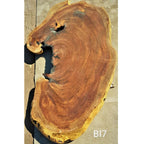 Brown Ivory Slice (51.97" x 23.23" x 3.15")