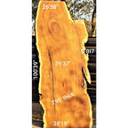 Brown Ivory Slab (100.39" x 39.37" x 2.95")