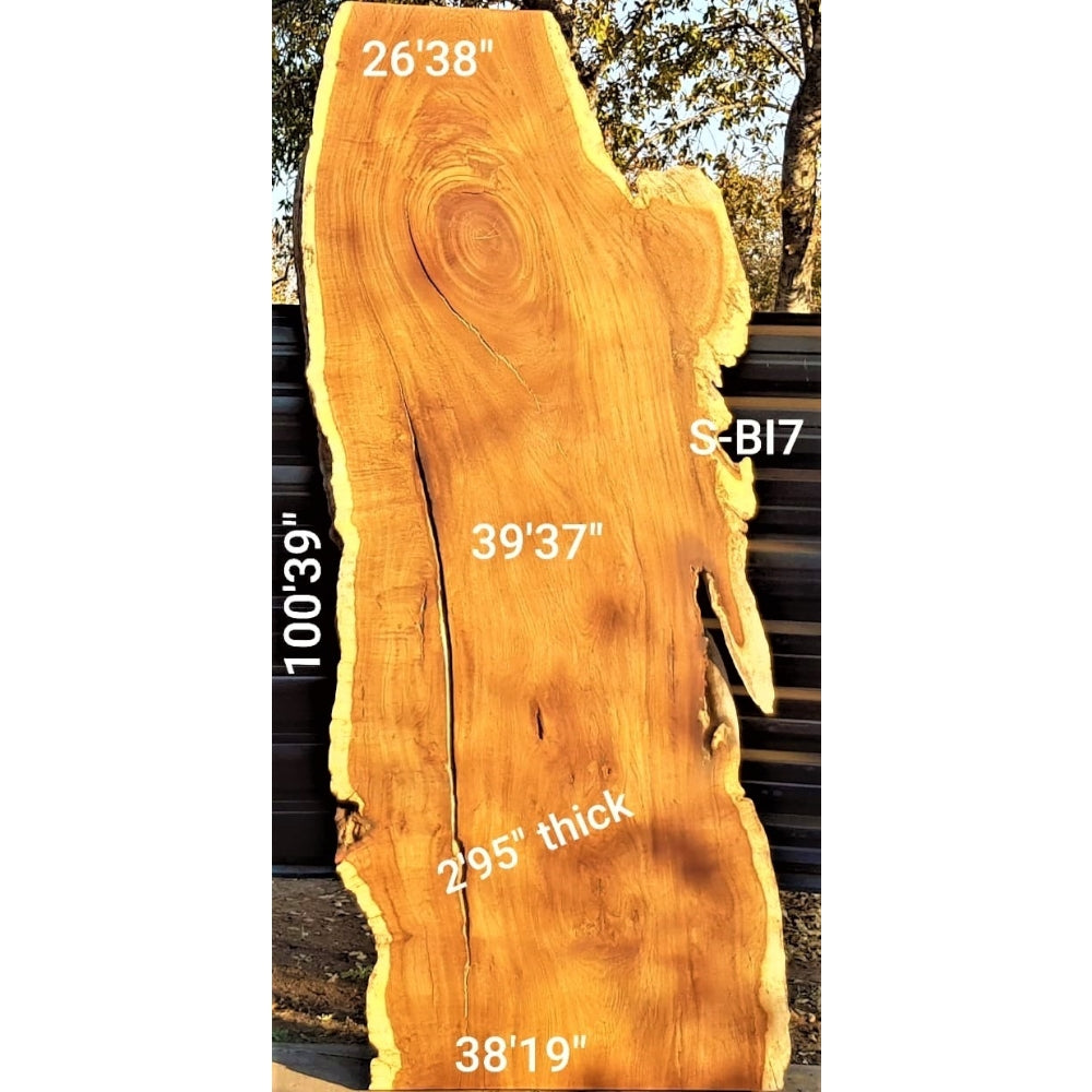 Brown Ivory Slab (100.39" x 39.37" x 2.95")