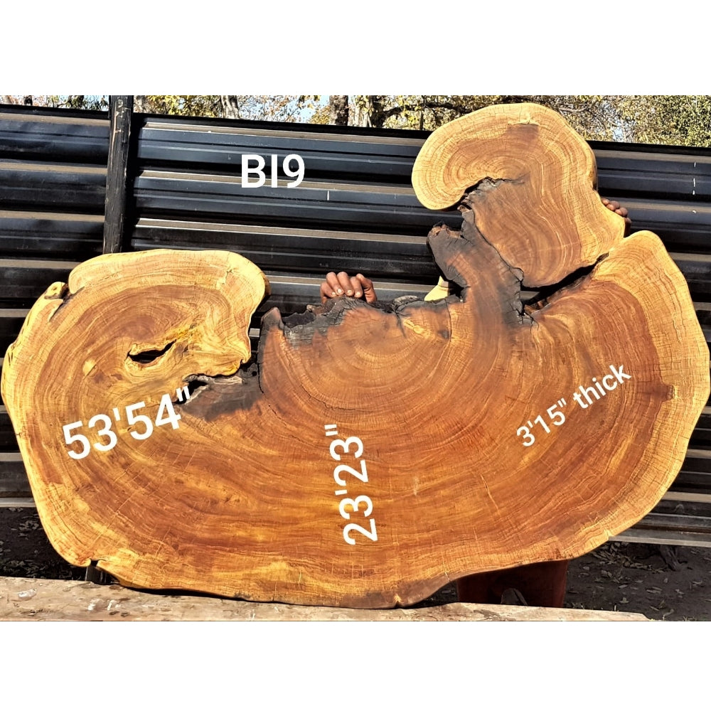 Brown Ivory Slice (53.54" x 23.23" x 3.15")