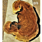 Brown Ivory Slice (53.54" x 23.23" x 3.15")