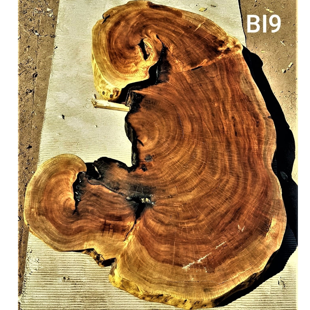 Brown Ivory Slice (53.54" x 23.23" x 3.15")