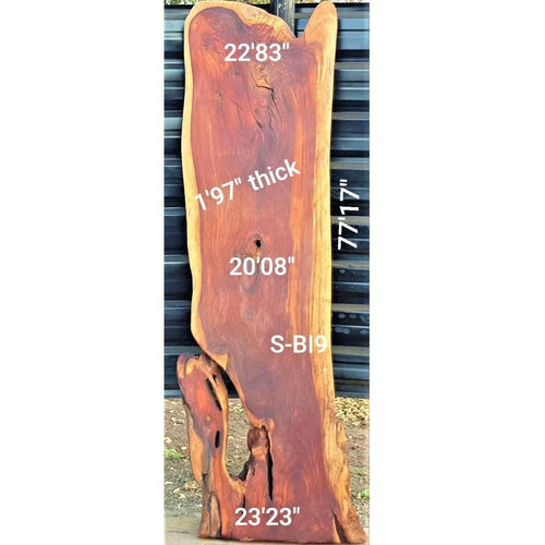 Brown Ivory Slab (77.17" x 23.23" x 1.97")