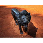 Hand-Carved 67" Ironwood Lion Carving