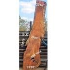 Jackalberry Slab (150.79" x 37.01" x 3.54")