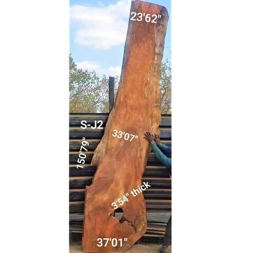 Jackalberry Slab (150.79" x 37.01" x 3.54")