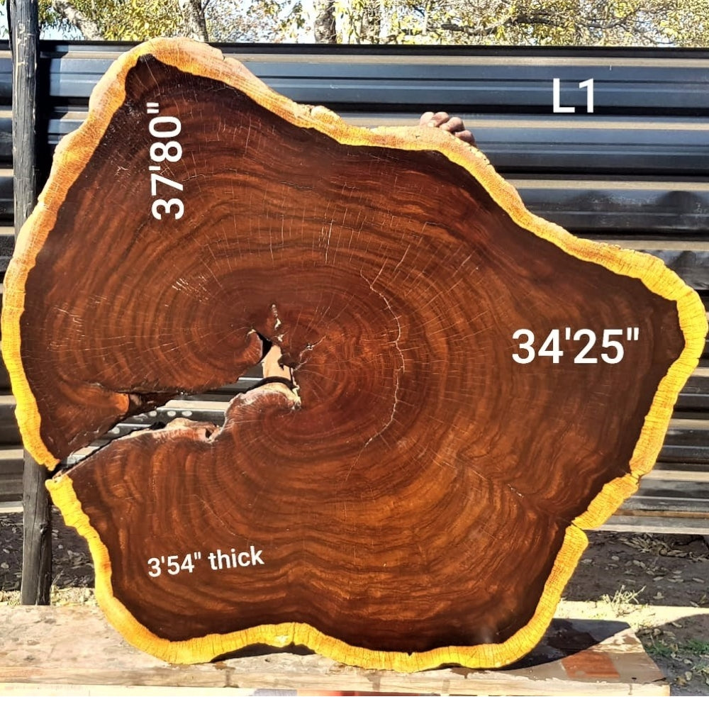 Leadwood Slice (37'80" x 34.25" x 3.54")