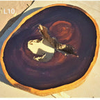 Leadwood Slice (29.13" x 26.38" x 3.15")