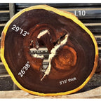 Leadwood Slice (29.13" x 26.38" x 3.15")