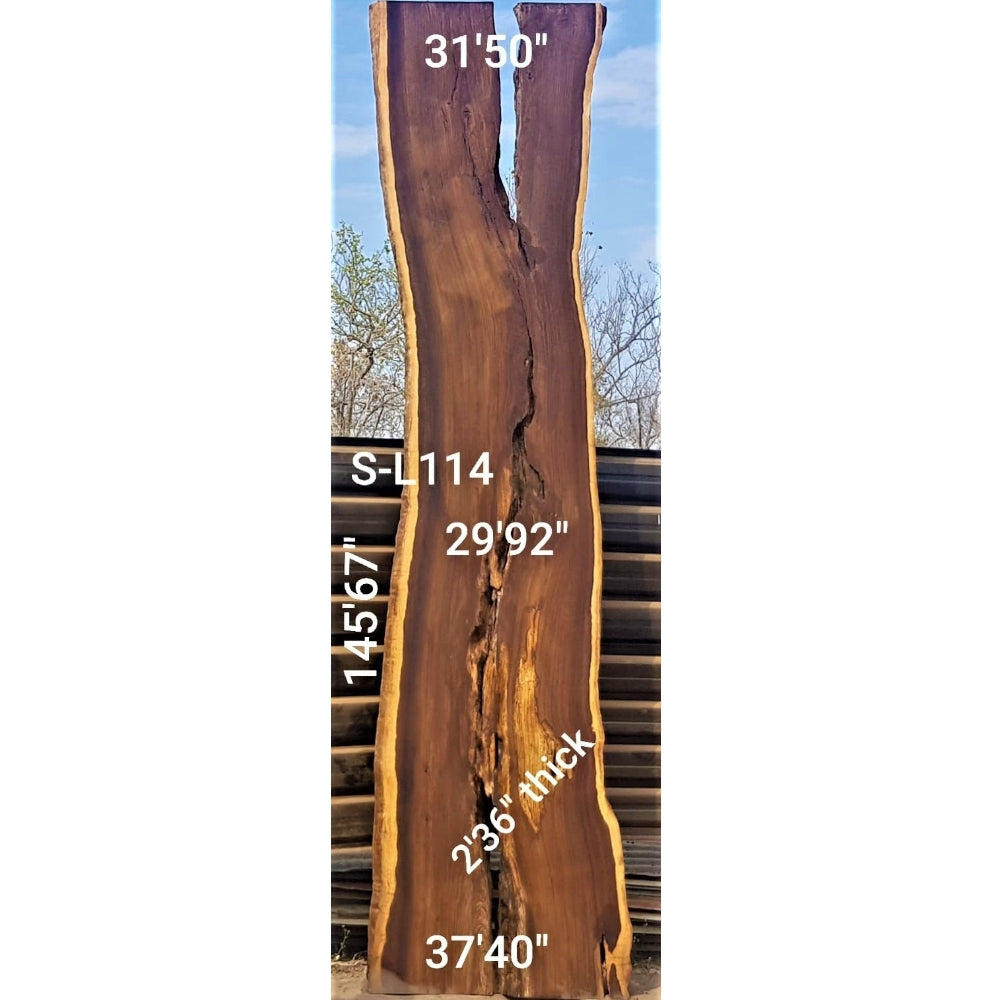 Leadwood Slab (145.67" x 37.40" x  2.36")