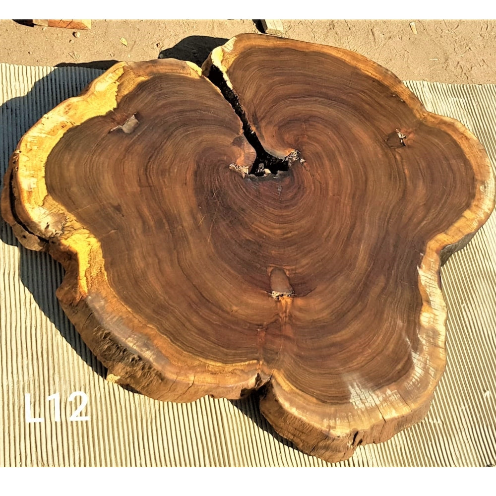 Leadwood Slice (37.80" x 33.46" x 2.76")