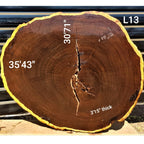 Leadwood Slice (35.43" x 30.71" x 3.15")