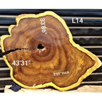 Leadwood Slice (43.31" x 33.86" x 3.35")