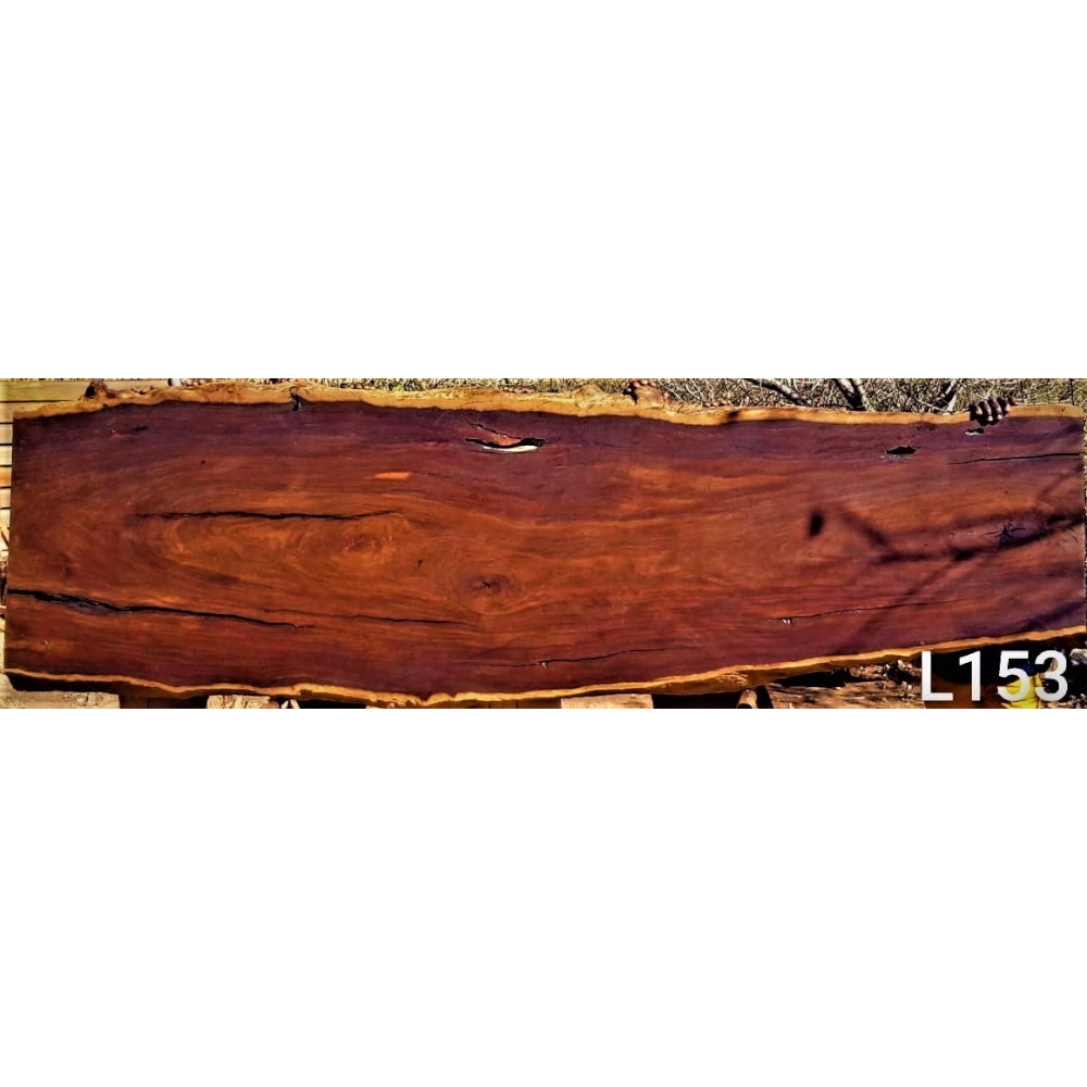 Leadwood Slab (114.57" x 33.86" x 2.76")