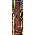Leadwood Slab (119.88" x 26.77" x 2.36")