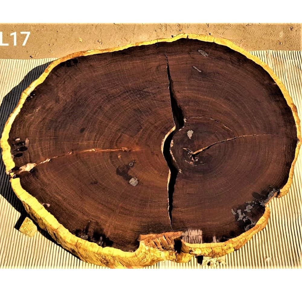 Leadwood Slice (33.86" x 27.56" x 3.15")