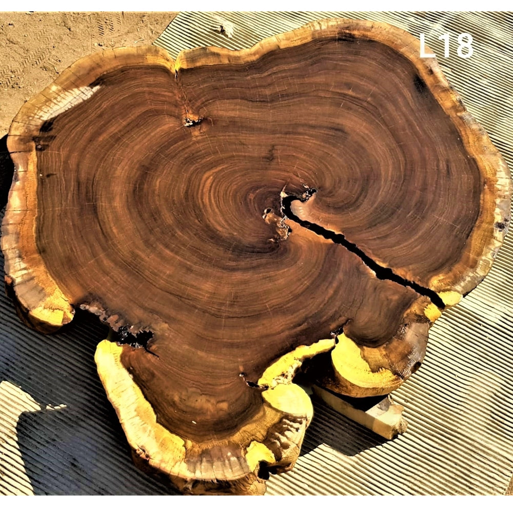 Leadwood Slice (32.28" x 30.31" x 2.76")