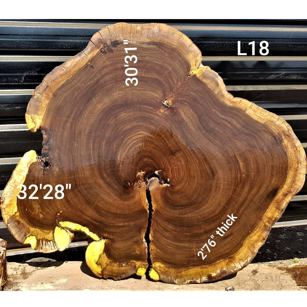 Leadwood Slice (32.28" x 30.31" x 2.76")