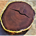 Leadwood Slice (33.46" x 27.17" x 3.15")