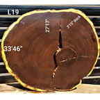 Leadwood Slice (33.46" x 27.17" x 3.15")