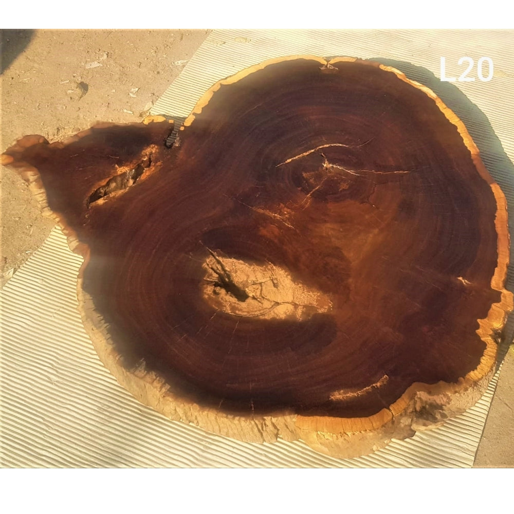 Leadwood Slice (39.37" x 35.04" x 3.15")