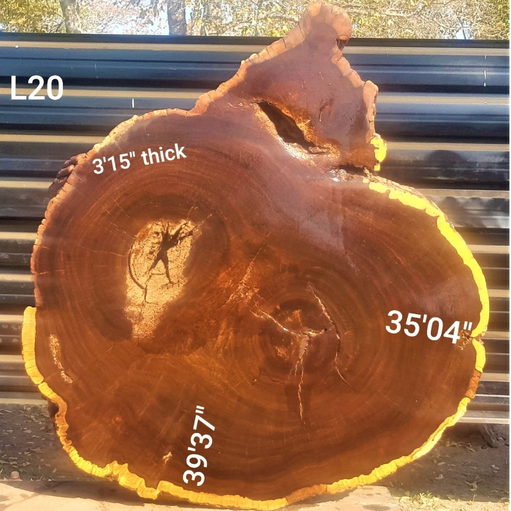 Leadwood Slice (39.37" x 35.04" x 3.15")
