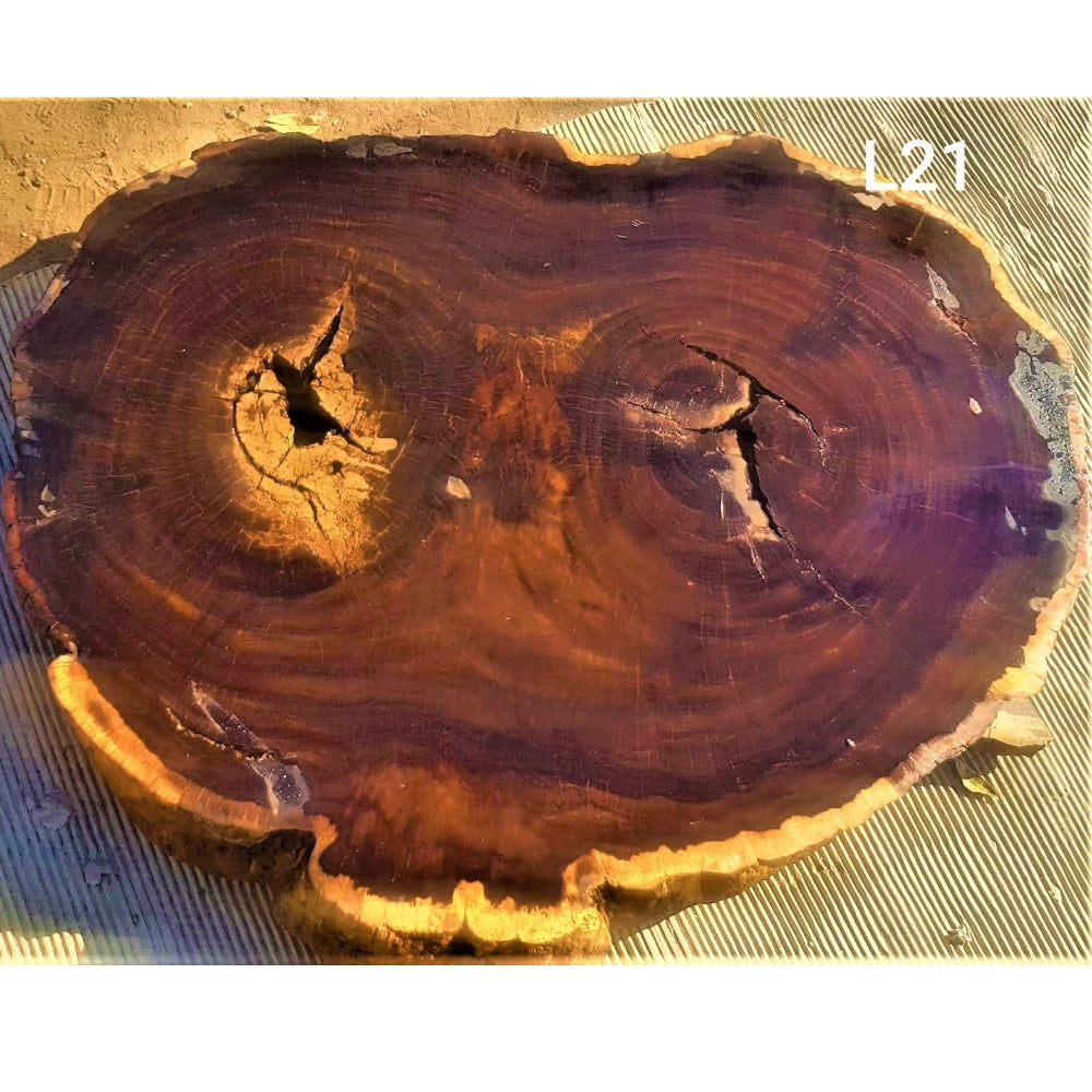 Leadwood Slice (36.22" x 28.35" x 2.76")