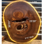 Leadwood Slice (30.31" x 25.20" x 3.15")