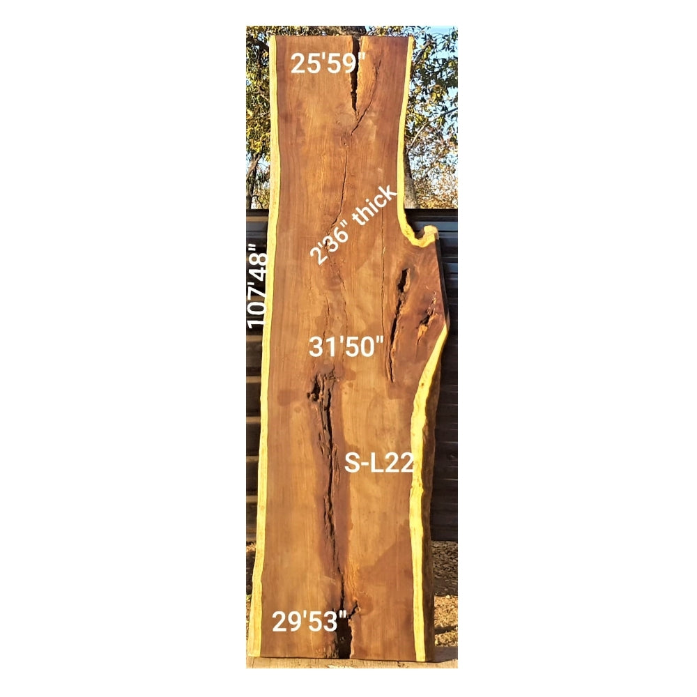 Leadwood Slab (107.48" x 31.50" x 2.36")