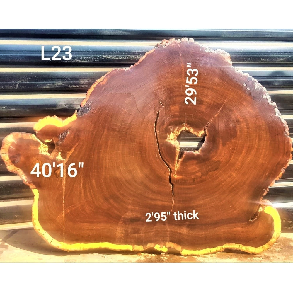 Leadwood Slice (40.16" x 29.53" x 2.95")