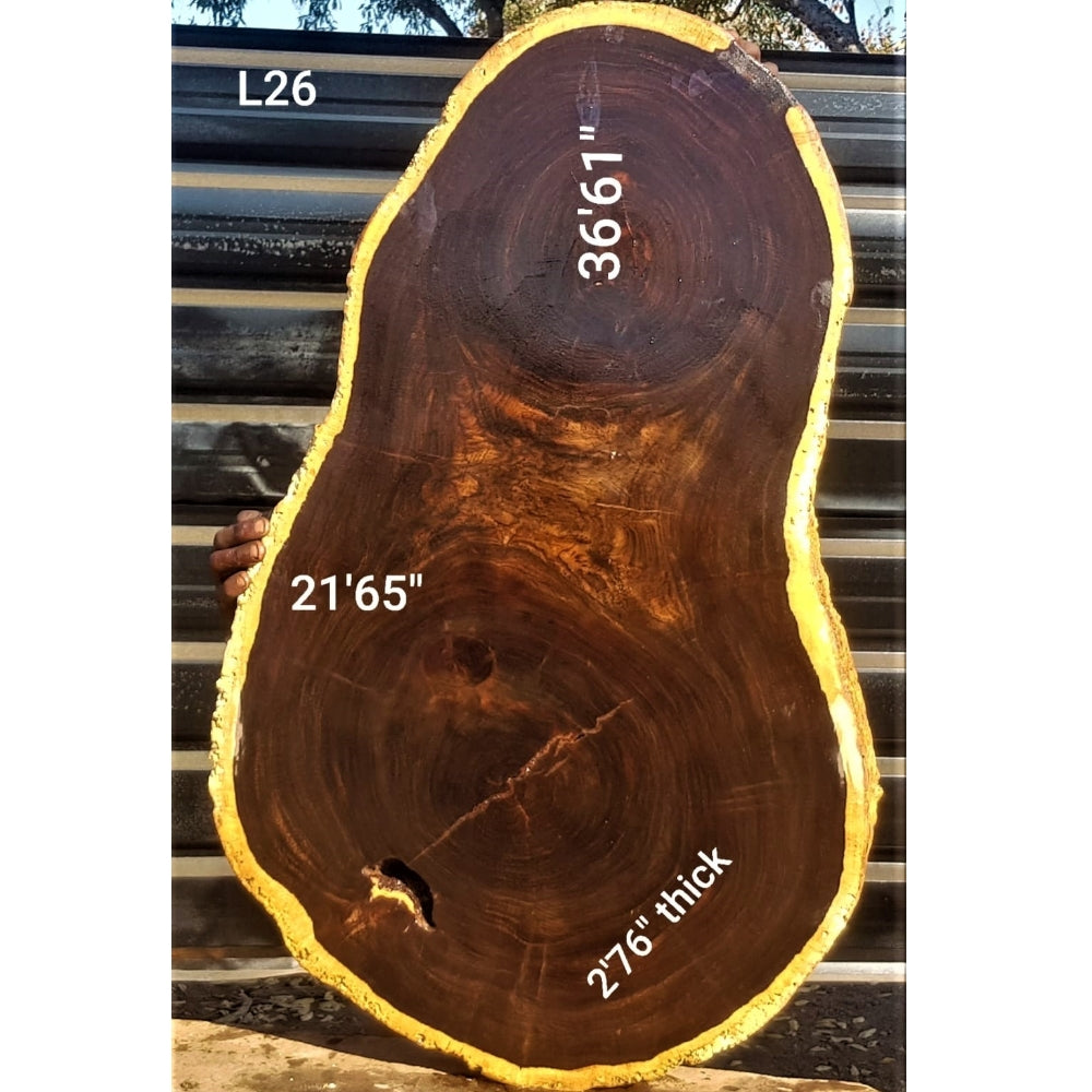 Leadwood Slice (36.61" x 21.65" x 2.76")
